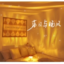 晴碧琳（Qbily）水波纹氛围灯小夜灯情人三八节生日礼物送女友ins浪漫卧室睡眠灯 16色变光-遥控开关【插电款】